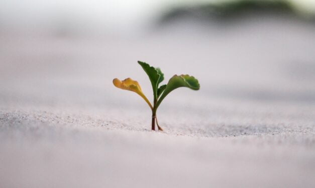 Personal Growth for Women: How to Overcome Fear and Limiting Beliefs
