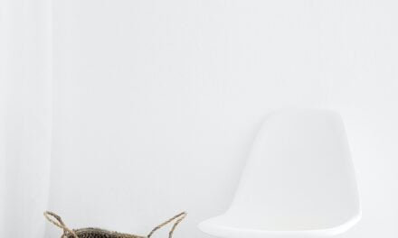 The Beginner’s Guide to Eco-Friendly Living