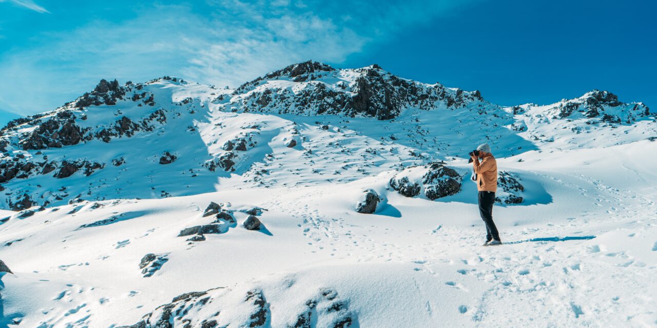 How to Reduce Your Carbon Footprint: Tips and Techniques