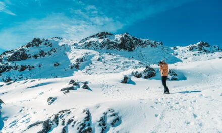 How to Reduce Your Carbon Footprint: Tips and Techniques