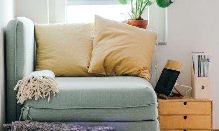 Eco-Friendly Cleaning Products: The Best Options for Your Home