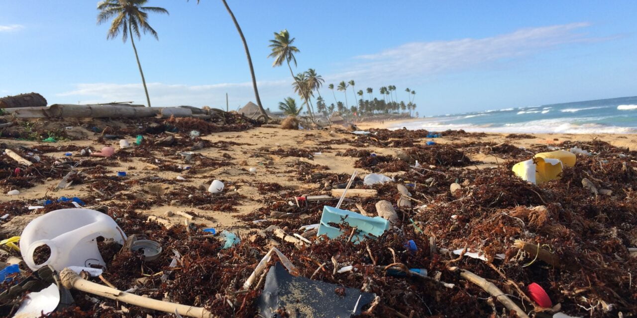 How to Reduce Plastic Use in Your Daily Life