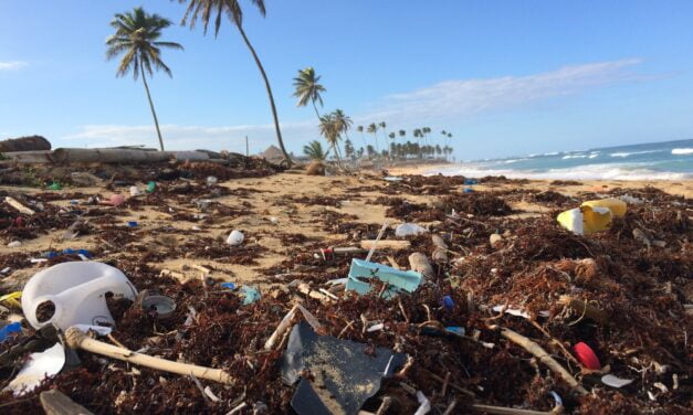 How to Reduce Plastic Use in Your Daily Life