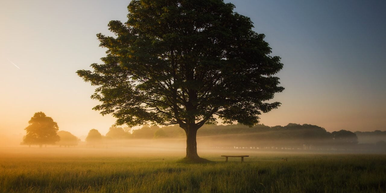 10 Affordable Ways to Incorporate Mindfulness into Your Daily Routine