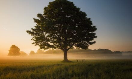 10 Affordable Ways to Incorporate Mindfulness into Your Daily Routine
