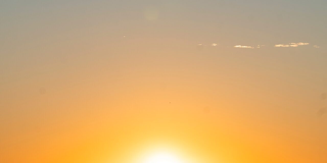 Living a Sustainable Lifestyle on a Budget: Tips and Tricks for Eco-Friendly Living