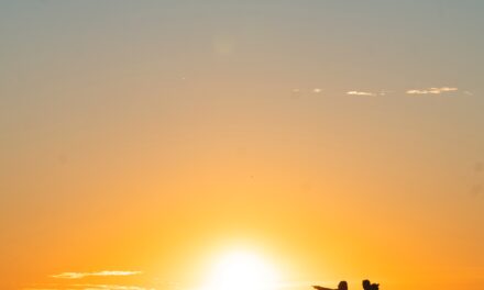 Living a Sustainable Lifestyle on a Budget: Tips and Tricks for Eco-Friendly Living