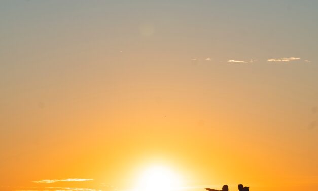 Living a Sustainable Lifestyle on a Budget: Tips and Tricks for Eco-Friendly Living