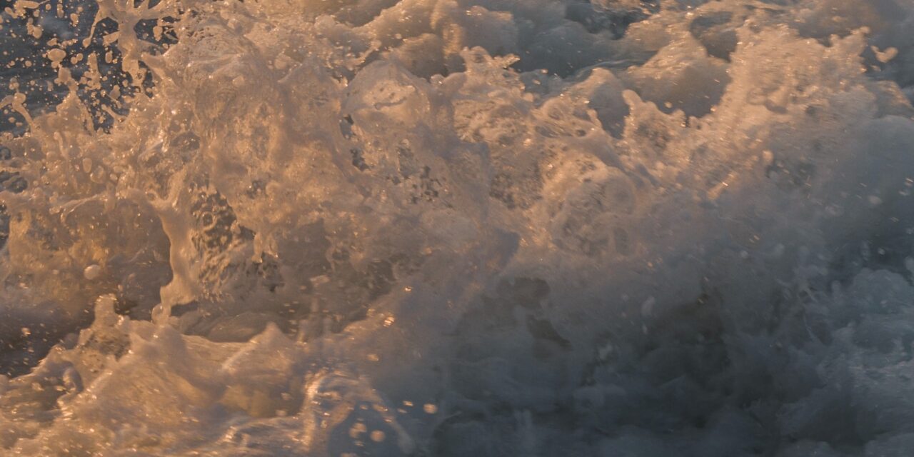 Mindful Spending: How to Be More Conscious of Your Money and Live a Fulfilling Life on a Budget