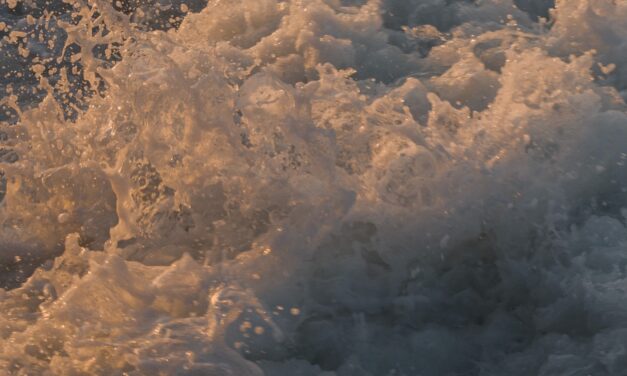 Mindful Spending: How to Be More Conscious of Your Money and Live a Fulfilling Life on a Budget