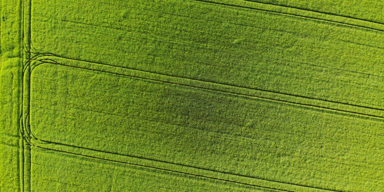 Green Living on a Budget: How to Make Your Home Eco-Friendly Without Breaking the Bank