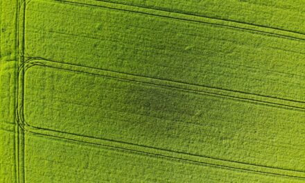 Green Living on a Budget: How to Make Your Home Eco-Friendly Without Breaking the Bank