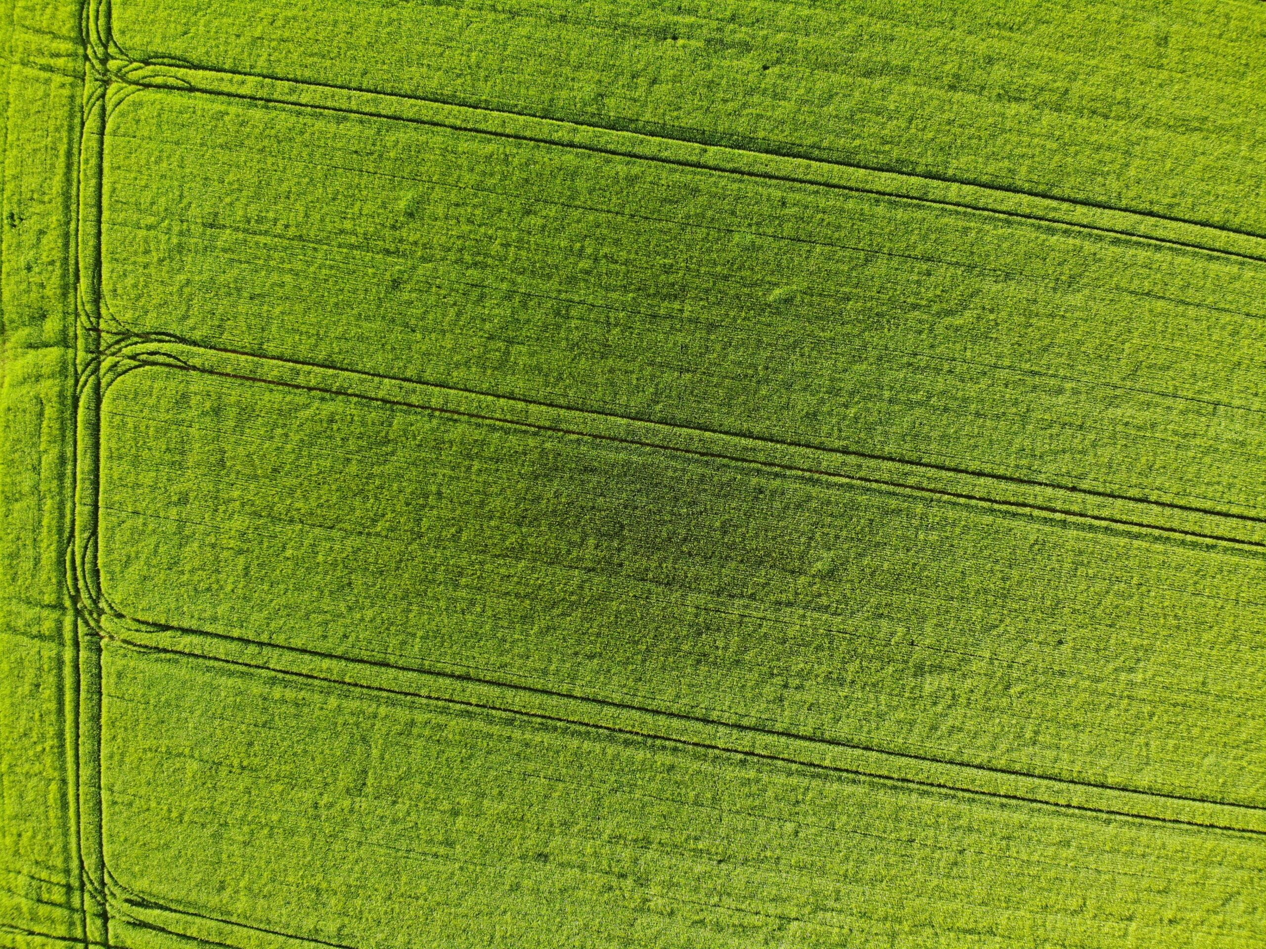 Sustainable Living Practices for Apartment Dwellers: 13 Easy Tips