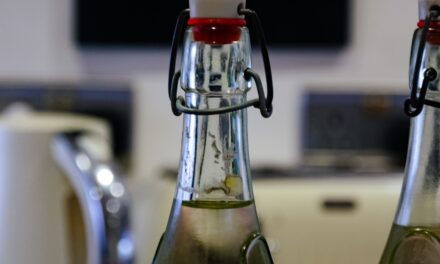 The Top 10 Sources of Plant-Based Protein